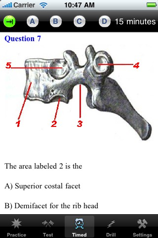 Osteology Review